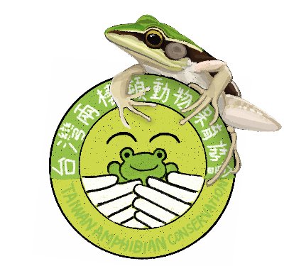 ��ϫO�|��|